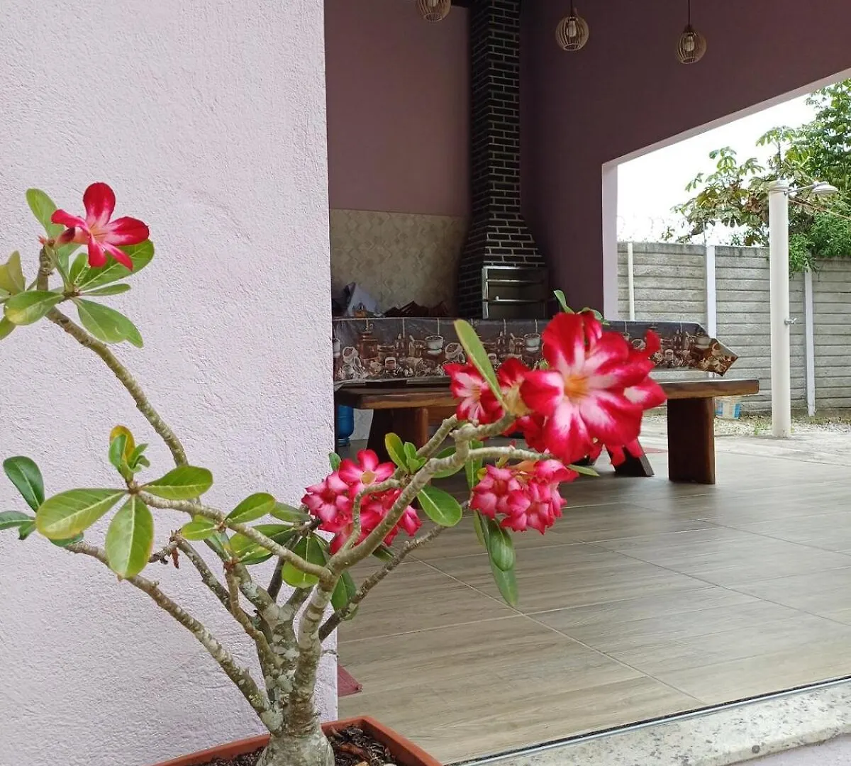 Apartamento Com Area Gourmet Orla Norte Porto Seguro 0*,